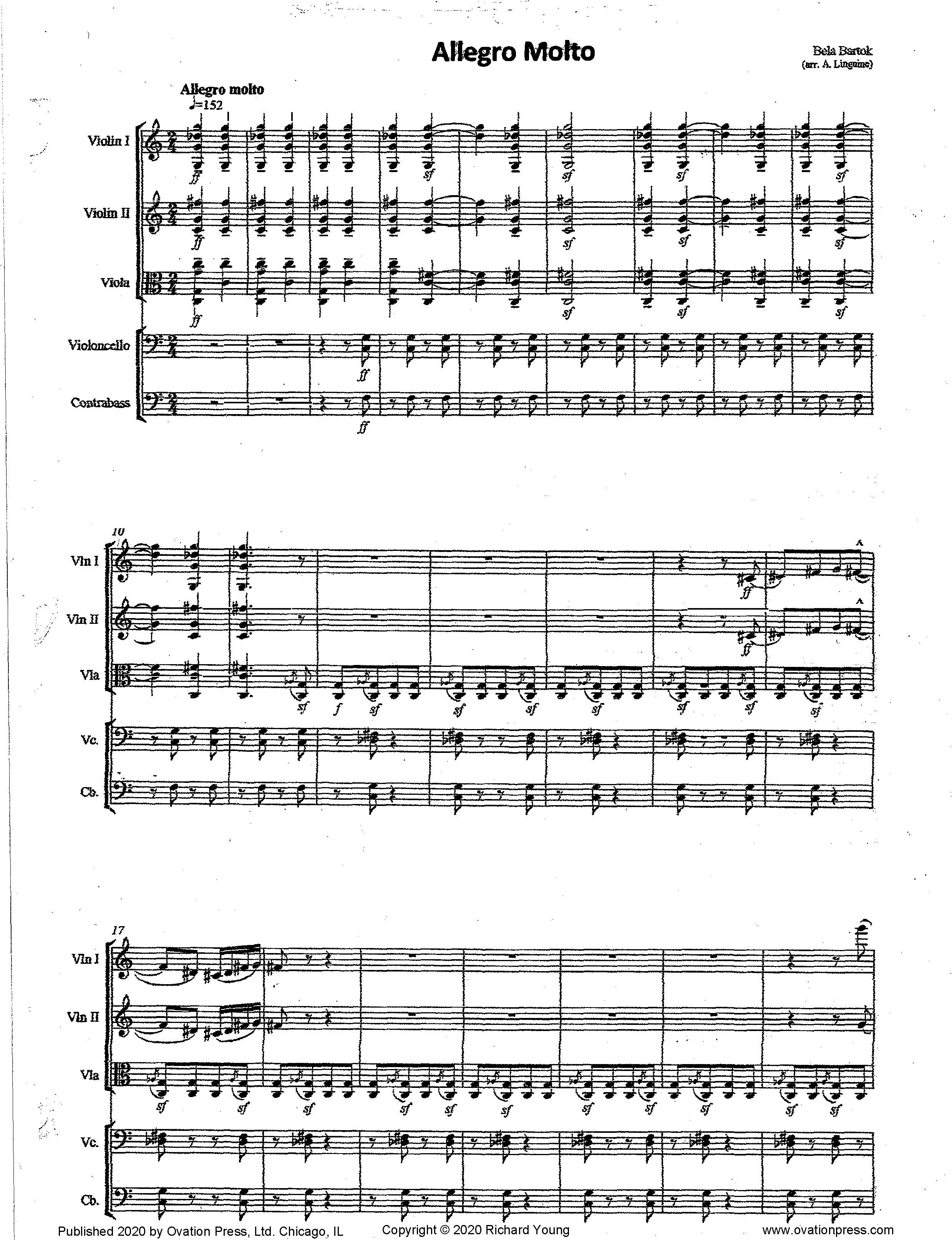 Bartók Allegro Molto (For Intermediate String Orchestra)